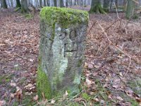 6  Saverne LE WASSERWALD 05 03 2017 47